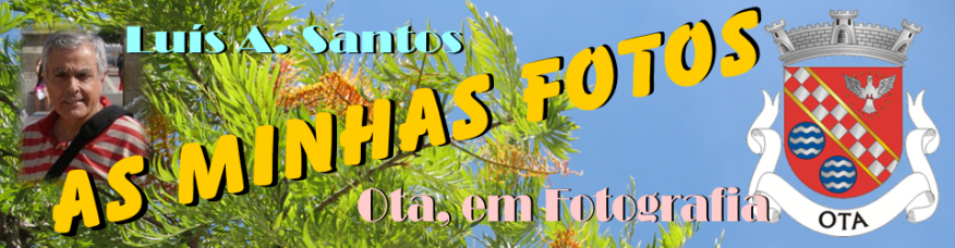 OTA EM FOTOGRAFIA - LUIS  A. SANTOS